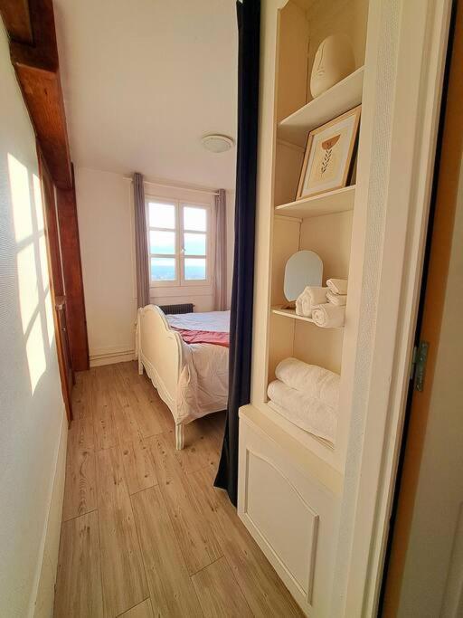 Charmant Duplex A Thiers, Vue Sur La Chaine Des Puys Eksteriør billede